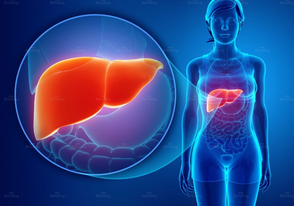 Phương pháp detox giải độc cơ thể tự nhiên, an toàn tại nhà